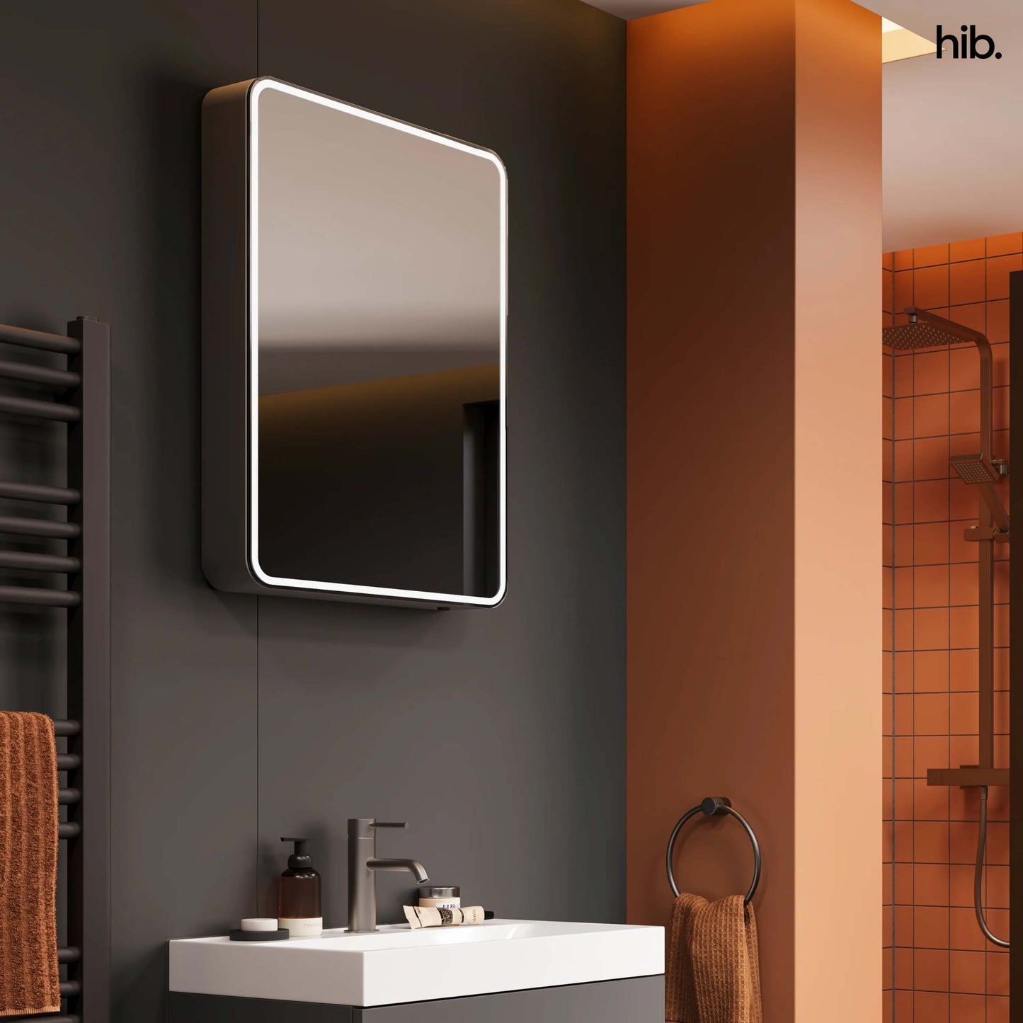 HIB Cayla Slim Mirrored Cabinet