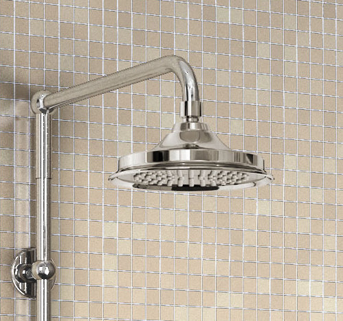Experience luxurious showers with Burlington 6' Shower Rose