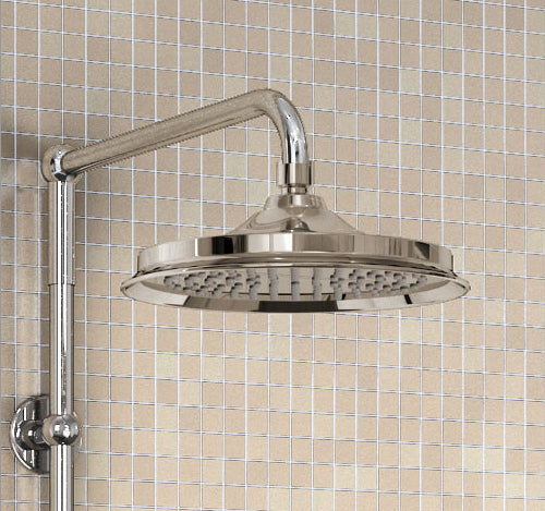 Experience luxurious shower with Burlington 9' Shower Rose
