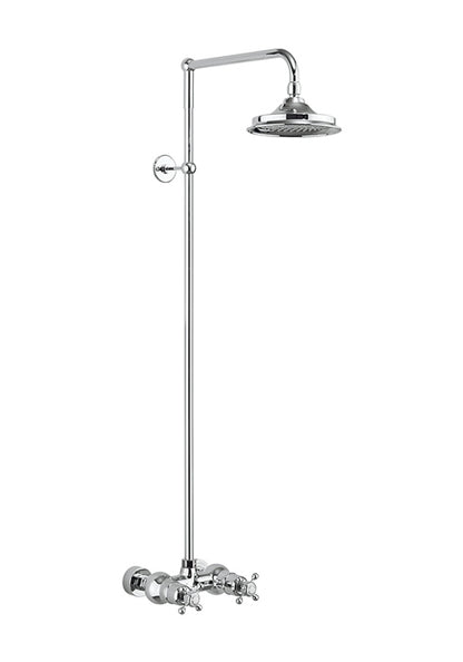 Eden Shower Bar Valve w/ Rigid Riser,Swivel Arm w/9' Rose