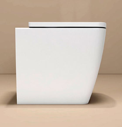Essentials Ravine Back to Wall Short Projection Rimless Comfort Height WC