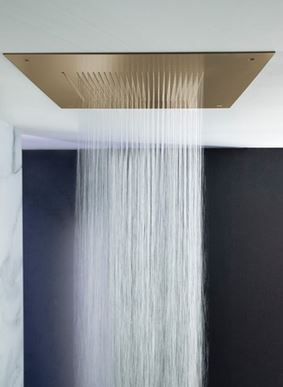 Tranquil 500mm Shower Head Brushed Brass