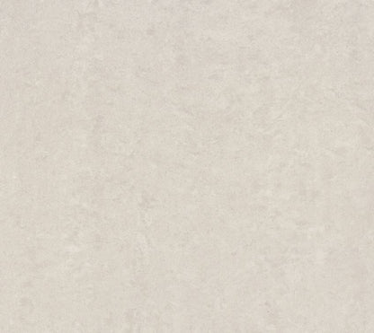 Lounge Light Grey Unpolished 100x600mm