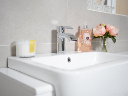 SW6 Status Mono Basin Mixer