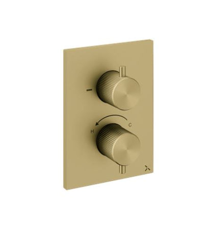 Crosswater 3ONE6 Shower Trim Set With 2 Outlet Brushed Brass